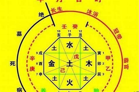 喜用水|什么样的八字喜水 – 八字喜水人的特征